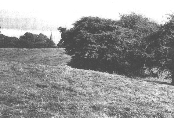 Иллюстрация к книге — Ричард III и битва при Босворте [i_027.jpg]