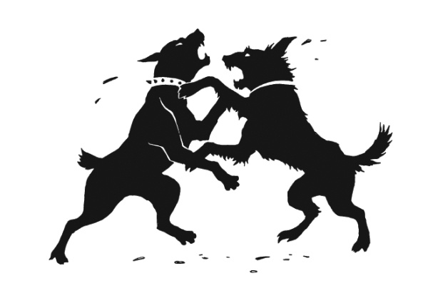 Иллюстрация к книге — Кошмар Ведьмака [i_011.jpg]