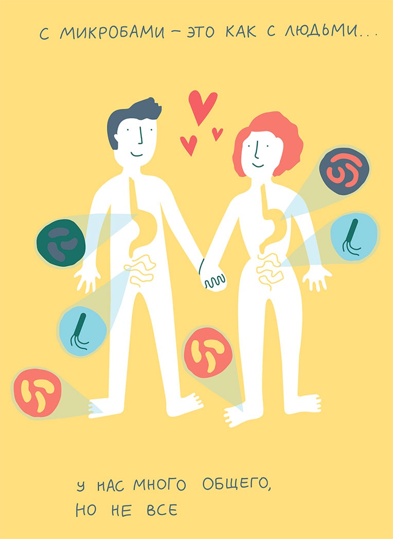 Иллюстрация к книге — Смотри, что у тебя внутри. Как микробы, живущие в нашем теле, определяют наше здоровье и нашу личность [i_006.jpg]