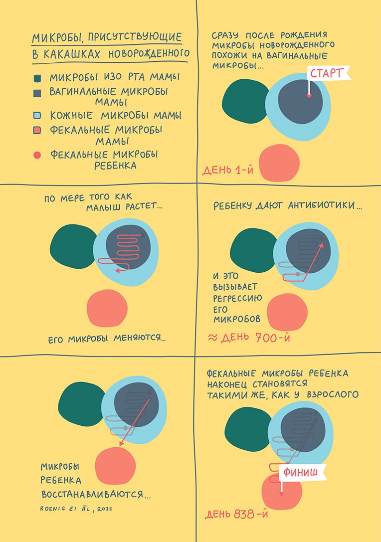 Иллюстрация к книге — Смотри, что у тебя внутри. Как микробы, живущие в нашем теле, определяют наше здоровье и нашу личность [i_007.jpg]