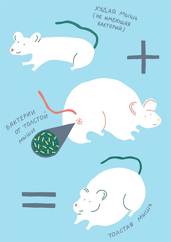Иллюстрация к книге — Смотри, что у тебя внутри. Как микробы, живущие в нашем теле, определяют наше здоровье и нашу личность [i_009.jpg]