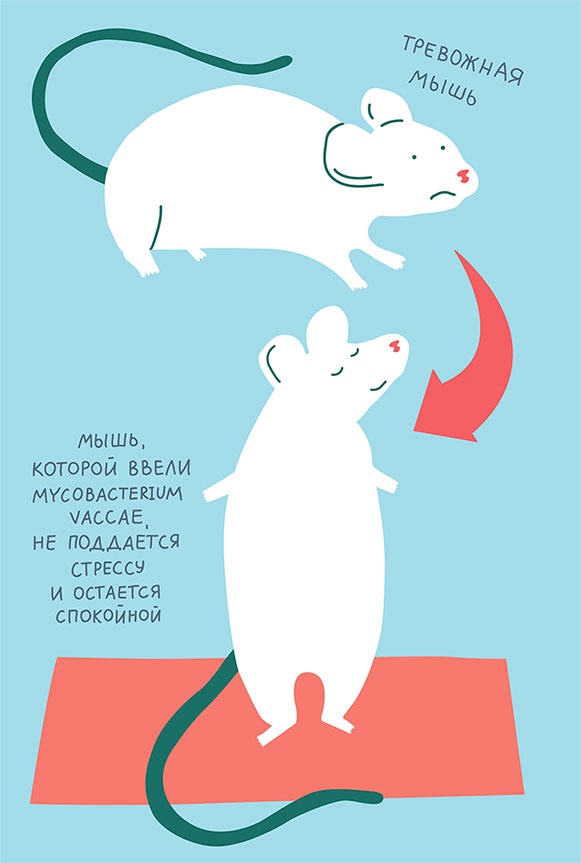 Иллюстрация к книге — Смотри, что у тебя внутри. Как микробы, живущие в нашем теле, определяют наше здоровье и нашу личность [i_010.jpg]