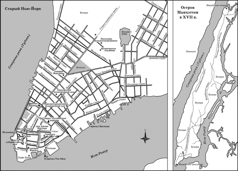 Иллюстрация к книге — Нью-Йорк [i_001.jpg]