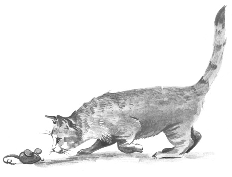 Иллюстрация к книге — Боб – необычный кот [i_003.jpg]