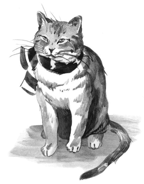 Иллюстрация к книге — Боб – необычный кот [i_005.jpg]