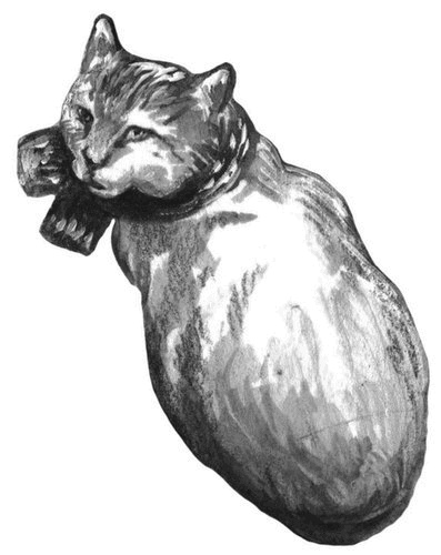 Иллюстрация к книге — Боб – необычный кот [i_006.jpg]