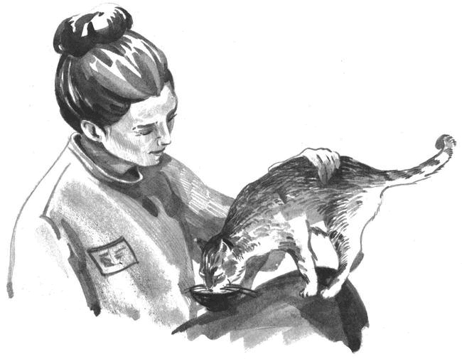 Иллюстрация к книге — Боб – необычный кот [i_024.jpg]