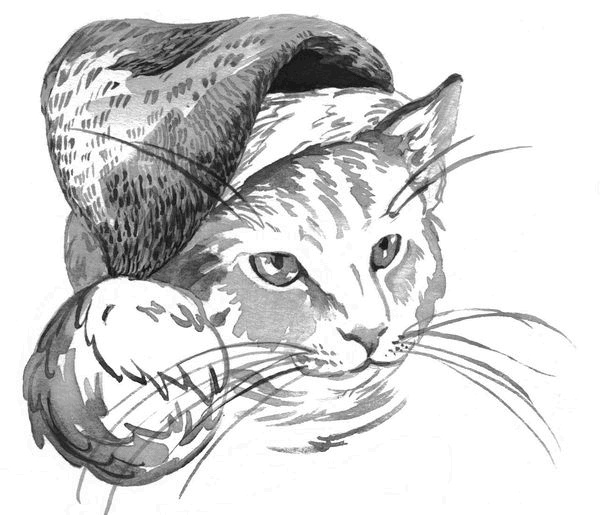 Иллюстрация к книге — Боб – необычный кот [i_17.jpg]