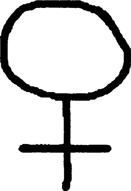 Иллюстрация к книге — Хищники [i_004.jpg]