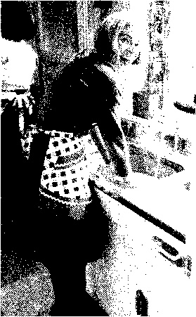 Иллюстрация к книге — Английский дом. Интимная история [image100.jpg]