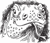 Иллюстрация к книге — Петров и Васечкин в стране Эргония. Новые приключения [i_008.jpg]