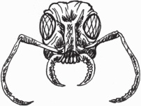 Иллюстрация к книге — Петров и Васечкин в стране Эргония. Новые приключения [i_027.jpg]