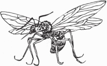 Иллюстрация к книге — Петров и Васечкин в стране Эргония. Новые приключения [i_028.jpg]