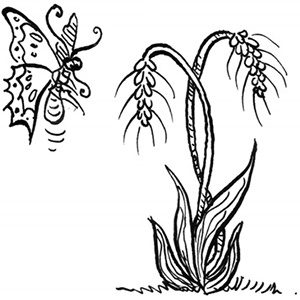 Иллюстрация к книге — День рождения пони [i_008.jpg]