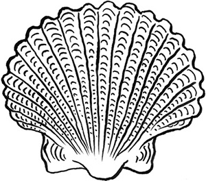 Иллюстрация к книге — День рождения пони [i_014.jpg]