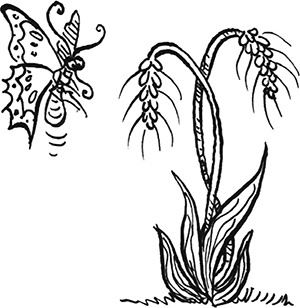 Иллюстрация к книге — День рождения пони [i_042.jpg]