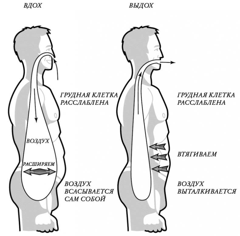 Иллюстрация к книге — Бесконечность жизни, или Лекарство от старости [i_001.jpg]