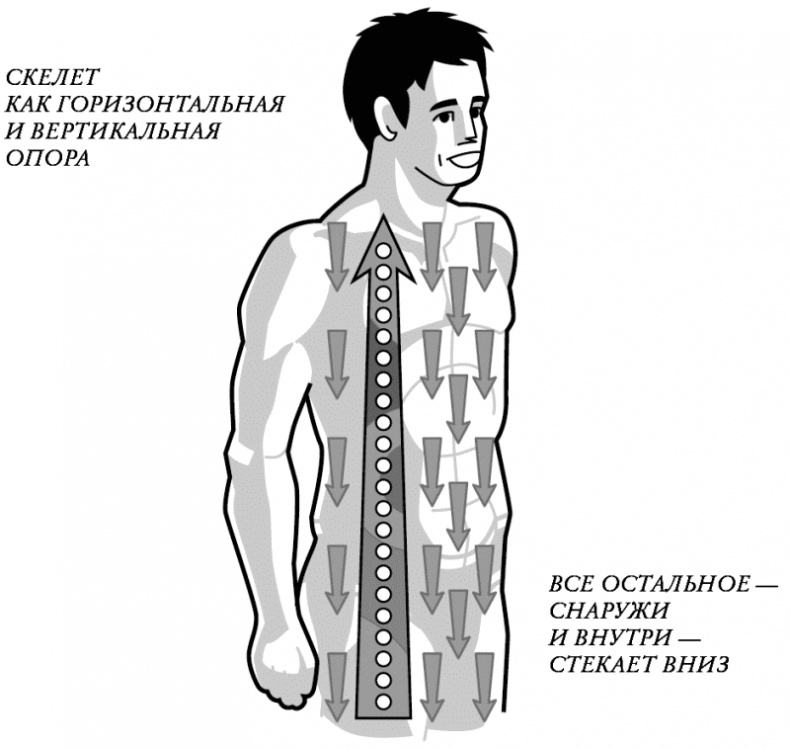 Иллюстрация к книге — Бесконечность жизни, или Лекарство от старости [i_003.jpg]