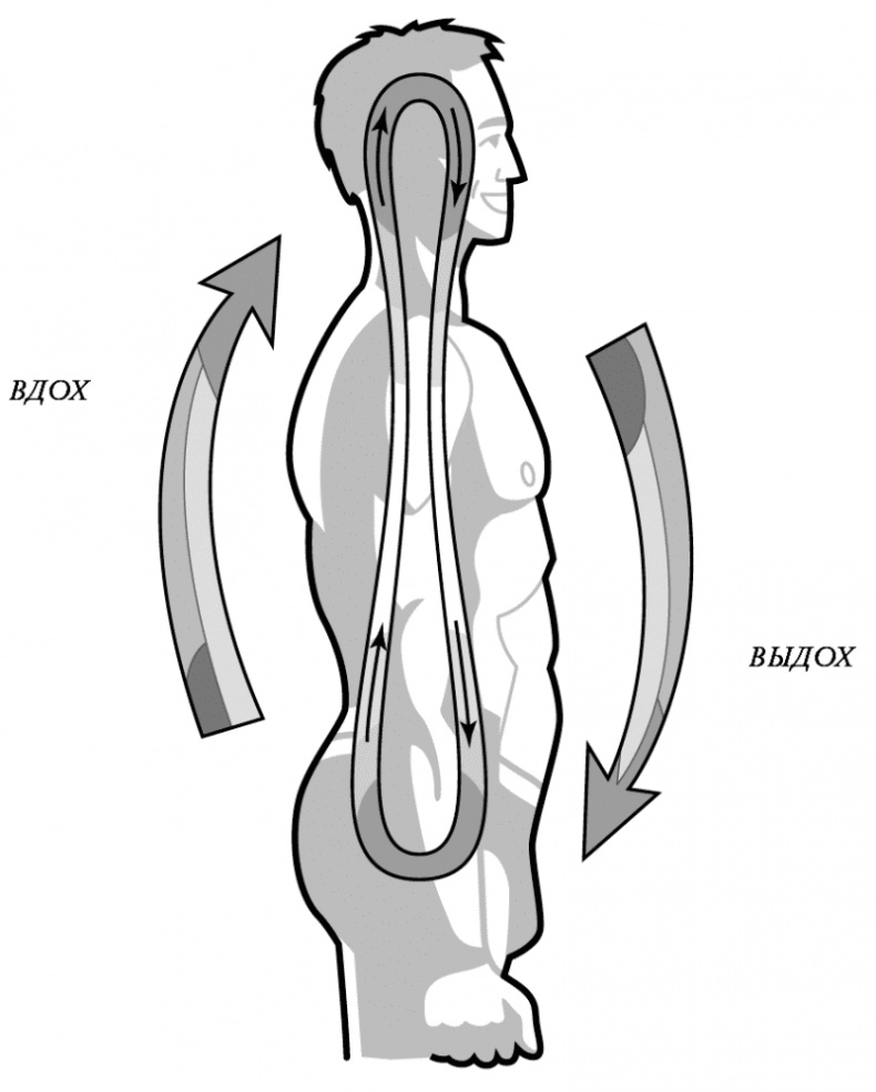 Иллюстрация к книге — Бесконечность жизни, или Лекарство от старости [i_008.jpg]