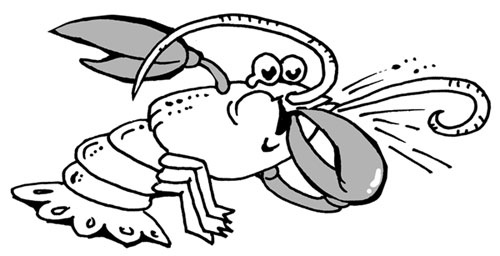 Иллюстрация к книге — Сказки для бабушек (книжка с привкусом оливье) [i_016.jpg]