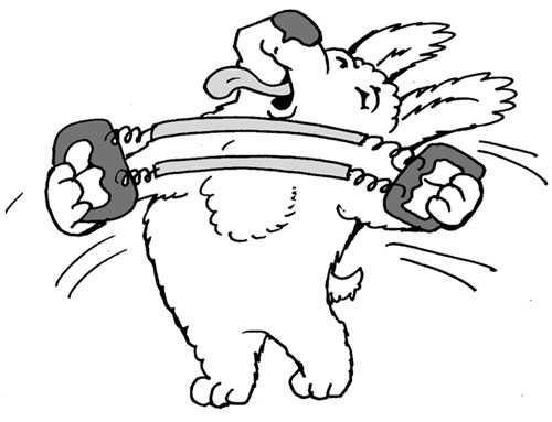 Иллюстрация к книге — Сказки для бабушек (книжка с привкусом оливье) [i_022.jpg]