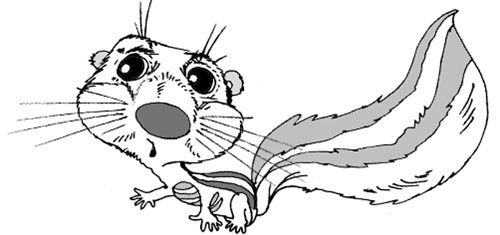 Иллюстрация к книге — Сказки для бабушек (книжка с привкусом оливье) [i_024.jpg]