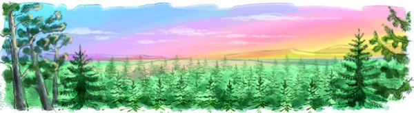 Иллюстрация к книге — Боцман, бурундук, кот и крыса. Сказка для детей и всех остальных [i_012.jpg]