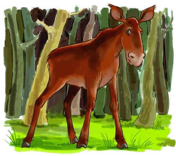 Иллюстрация к книге — Боцман, бурундук, кот и крыса. Сказка для детей и всех остальных [i_046.jpg]