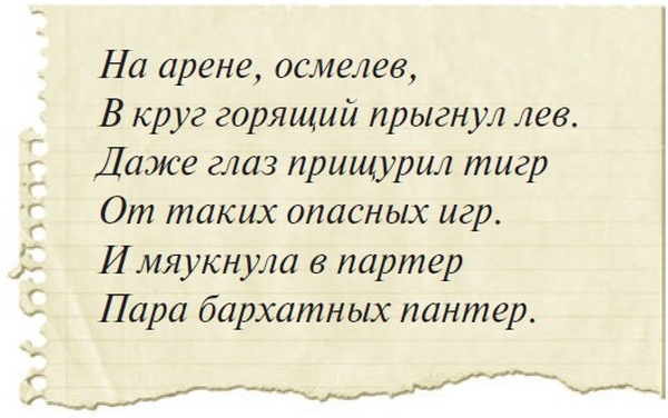 Иллюстрация к книге — Боцман, бурундук, кот и крыса. Сказка для детей и всех остальных [i_057.jpg]