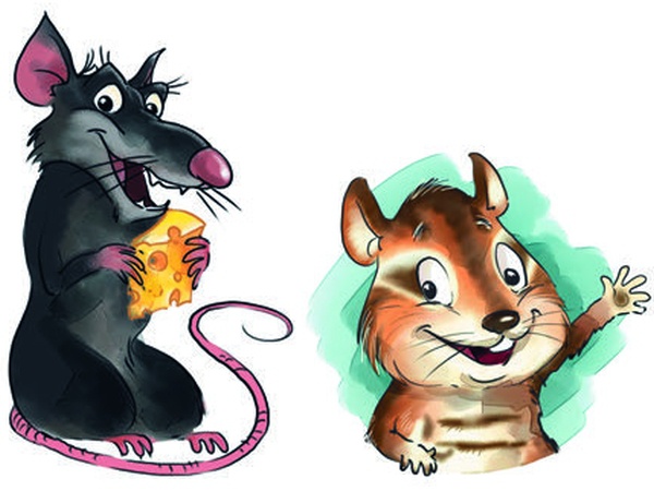 Иллюстрация к книге — Боцман, бурундук, кот и крыса. Сказка для детей и всех остальных [i_062.jpg]