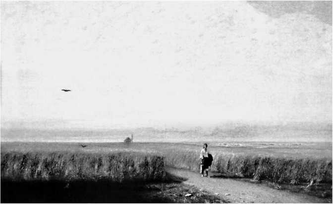 Иллюстрация к книге — Сага о Великой Степи [i_006.jpg]