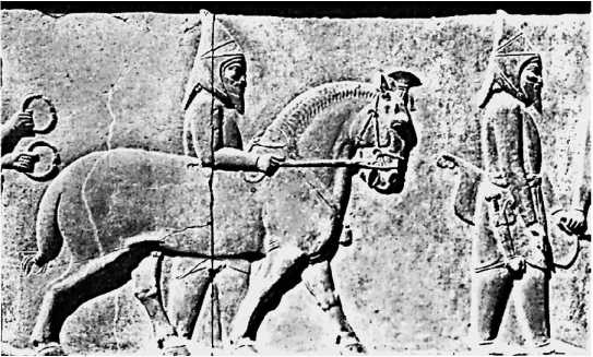 Иллюстрация к книге — Сага о Великой Степи [i_045.jpg]