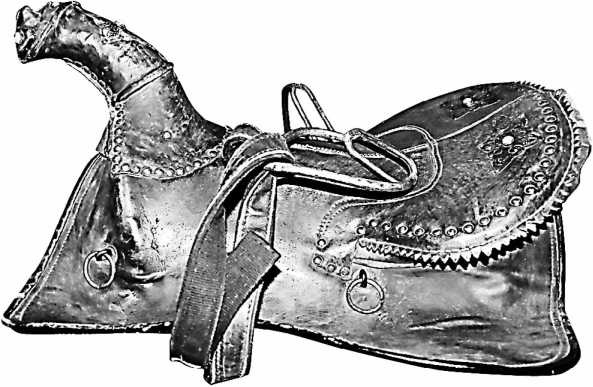 Иллюстрация к книге — Сага о Великой Степи [i_061.jpg]