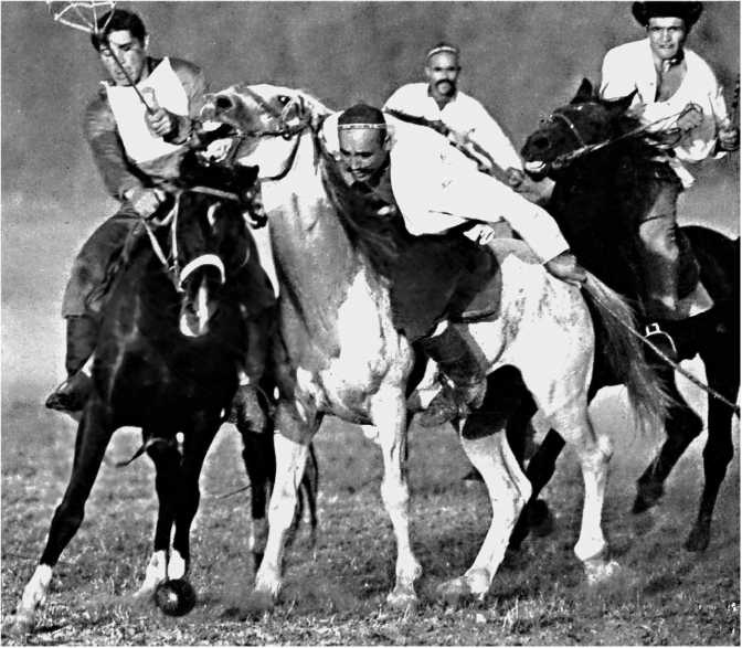 Иллюстрация к книге — Сага о Великой Степи [i_062.jpg]