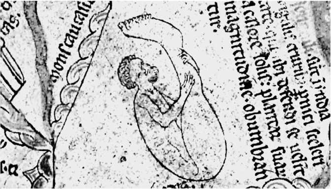 Иллюстрация к книге — Сага о Великой Степи [i_075.jpg]