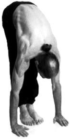 Иллюстрация к книге — Йога за 10 минут. Упражнения, которые вернут бодрость, омолодят тело, предотвратят болезни! [i_067.jpg]