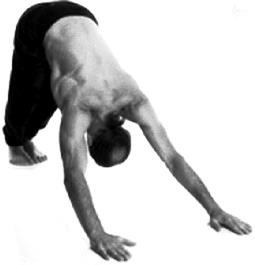 Иллюстрация к книге — Йога за 10 минут. Упражнения, которые вернут бодрость, омолодят тело, предотвратят болезни! [i_069.jpg]