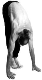 Иллюстрация к книге — Йога за 10 минут. Упражнения, которые вернут бодрость, омолодят тело, предотвратят болезни! [i_074.jpg]