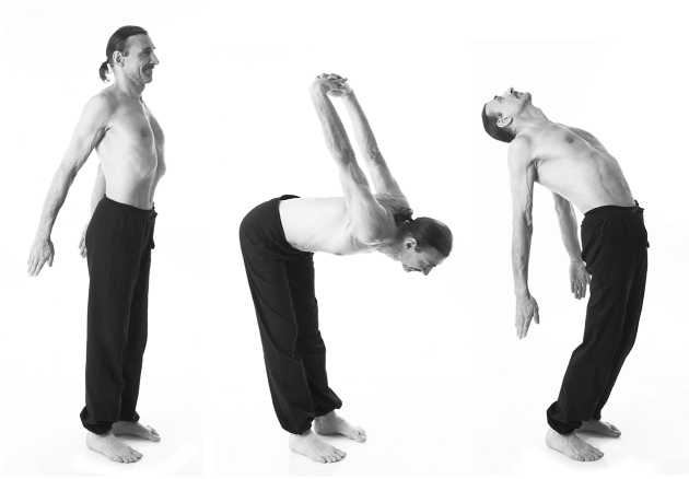 Иллюстрация к книге — Йога за 10 минут. Упражнения, которые вернут бодрость, омолодят тело, предотвратят болезни! [i_109.jpg]