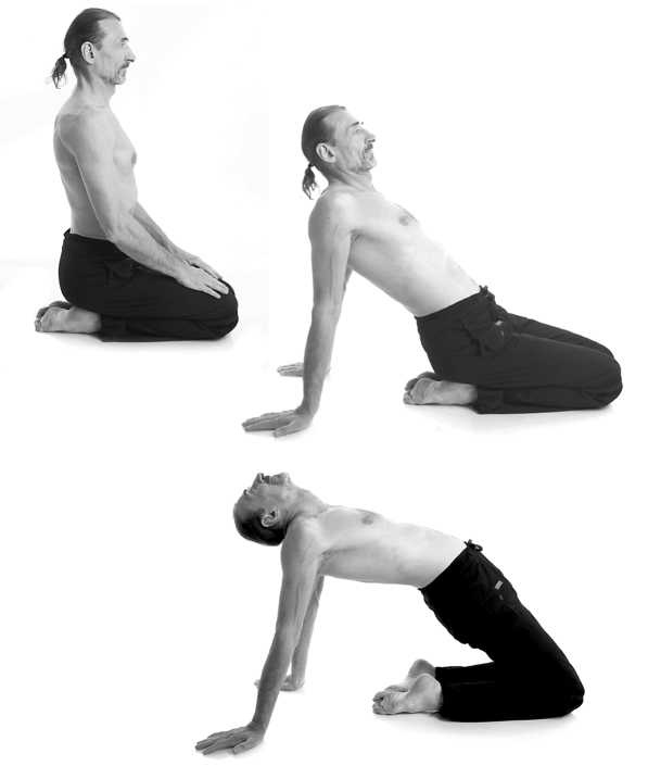 Иллюстрация к книге — Йога за 10 минут. Упражнения, которые вернут бодрость, омолодят тело, предотвратят болезни! [i_165.jpg]