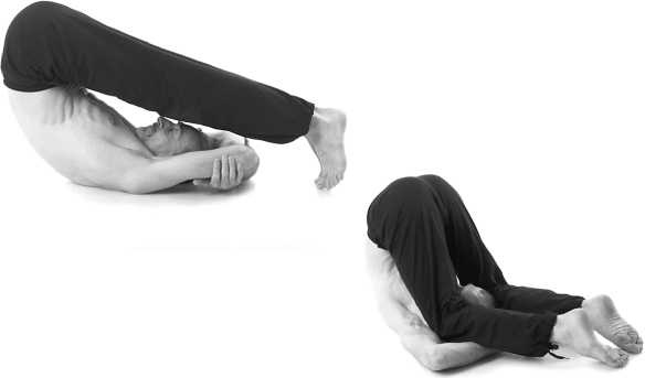 Иллюстрация к книге — Йога за 10 минут. Упражнения, которые вернут бодрость, омолодят тело, предотвратят болезни! [i_213.jpg]