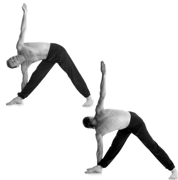 Иллюстрация к книге — Йога за 10 минут. Упражнения, которые вернут бодрость, омолодят тело, предотвратят болезни! [i_234.jpg]