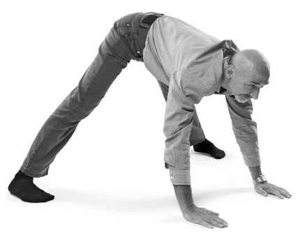 Иллюстрация к книге — Йога за 10 минут. Упражнения, которые вернут бодрость, омолодят тело, предотвратят болезни! [i_240.jpg]