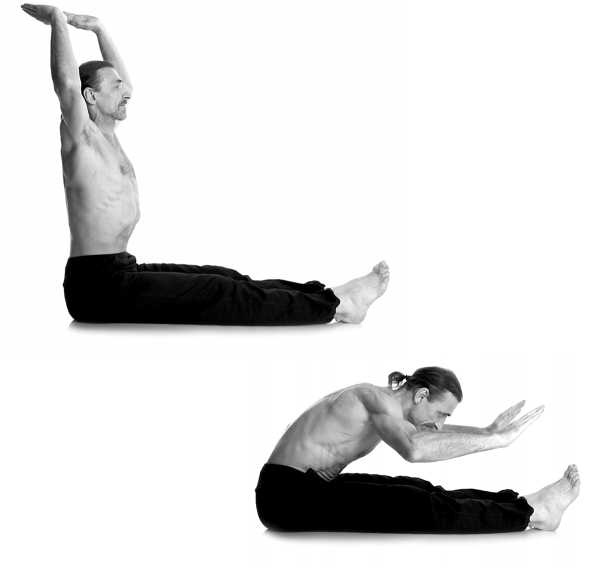 Иллюстрация к книге — Йога за 10 минут. Упражнения, которые вернут бодрость, омолодят тело, предотвратят болезни! [i_268.jpg]