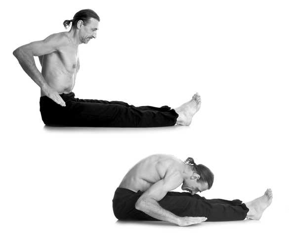 Иллюстрация к книге — Йога за 10 минут. Упражнения, которые вернут бодрость, омолодят тело, предотвратят болезни! [i_269.jpg]