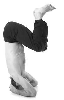 Иллюстрация к книге — Йога за 10 минут. Упражнения, которые вернут бодрость, омолодят тело, предотвратят болезни! [i_300.jpg]