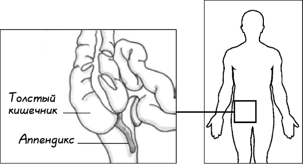 Иллюстрация к книге — Жизнь по принципу "Послать все на..." [_26.jpg]