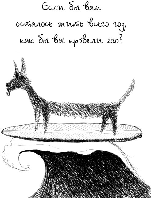 Иллюстрация к книге — Жизнь по принципу "Послать все на..." [_5.jpg]