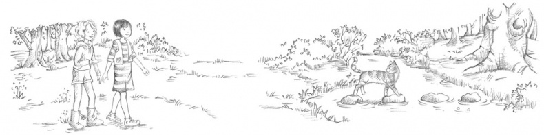 Иллюстрация к книге — Крольчонок Люси, или Волшебная встреча [_025.jpg_0.jpg]