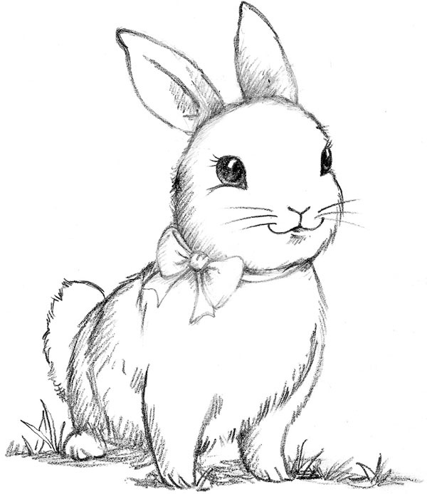 Иллюстрация к книге — Крольчонок Люси, или Волшебная встреча [_045.jpg]